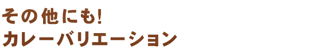 カレーバリエーション